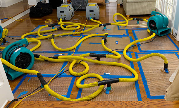 Professional Water Damage Restoration technician working in Henderson, NV
